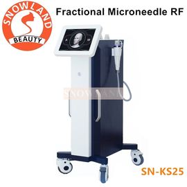 China Fractional rf micro needle rf machine supplier