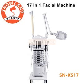 China Salon Use 17 In 1 Multifunction Facial Cleansing Brush Manufacturers Skin Care Machine supplier