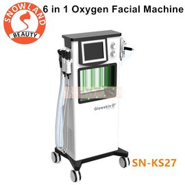 China 6 IN 1 Facial Geneo Oxygeneo Bubble Face Equipment Snowland Brand supplier
