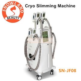 China Coolsculpting fat freezing machine cryolipolysis machine with 4 handles for fat removal body slimming supplier