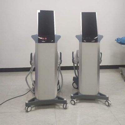 China EMSculpting new technology Electromagnetic EMSculp Slimming machine supplier