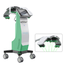 2023 New Arrival Erchonia 10D Emerald Laser Zerona Cold Laser Machine For Fat Reduction Cellulite Reduction