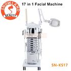 Salon Use 17 In 1 Multifunction Facial Cleansing Brush Manufacturers Skin Care Machine
