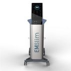 EMSculpting new technology Electromagnetic EMSculp Slimming machine