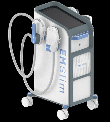 Emsculpt Neo Hi-emt HIFEM Emslim Neo 4 Handles For building Muscles and Burning Fat Pelvic Seat Optional supplier