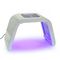 Red Light Therapy Led PDT Bio-Light Therapy Beauty Treatment Machine For Skin supplier