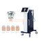 Best selling !!! Fractional RF microneedle / micro needle stretch marks removal machine supplier