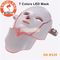 FDA Portable Led Light Therapy Facial Mask 7 Colors Skin Rejuvenation LED Face Mask supplier