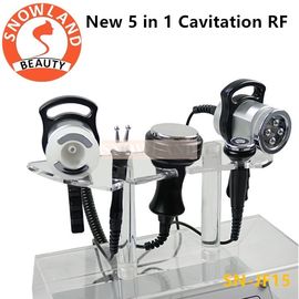 Portable 5 in 1 RF Skin Tightening Cavitation Ultrasonic Vacuum RF Bio Slimming Beauty Machine supplier