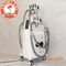 4 handles weight loss beauty equipment cryolipolysis slimming machine for cellulite supplier