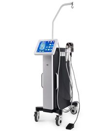 3 In 1 Anti Wrinkle Standing type Fractional RF Microneedle with acne pen and cooling hammer supplier