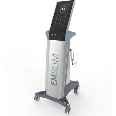 emslim emsculpt muscle stimulator emsculpts Body Contouring slim beauty TeslaSlim supplier