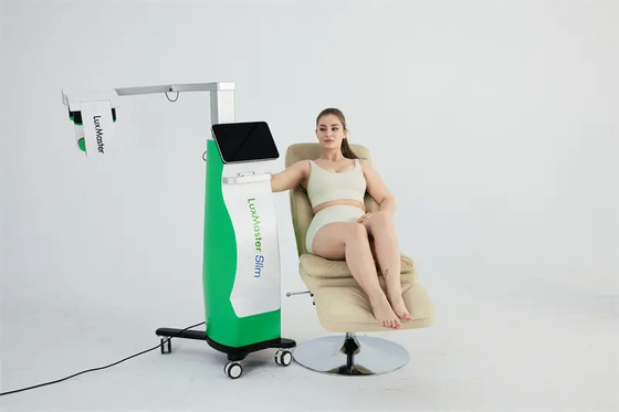 10d Snowland Fat Removal Emerald Laser Slimming Machine Weight Loss Luxmaster Slim Pain Free Weight Loss Treatments