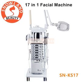 Salon Use 17 In 1 Multifunction Facial Cleansing Brush Manufacturers Skin Care Machine