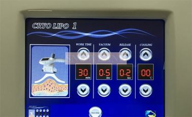 2 Handle Beauty Salon Equipment Criolipolisis Cryolipolysis Slimming Machine