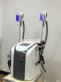 2 Handle Beauty Salon Equipment Criolipolisis Cryolipolysis Slimming Machine