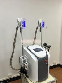 2 Handle Beauty Salon Equipment Criolipolisis Cryolipolysis Slimming Machine