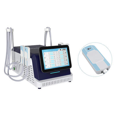 Portable 2 in 1 Fat Freezing EMS Cool Device with 4 Handles for Cellulite Reduction and Minus 10 Degree for Beauty Salon Use