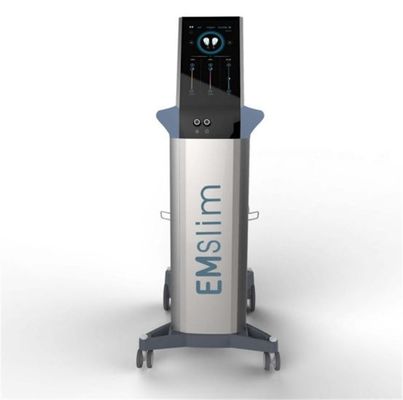 EMSculpt Electromagnetic Non-Invasive Body Shaping Muscles Stimulate Emsculpting Body Contouring Slimming