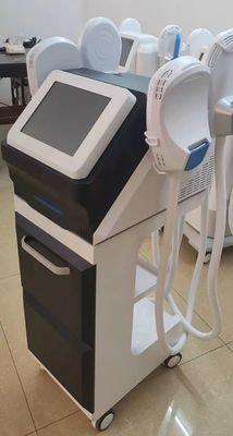 New Product Salon Equipment 4 handles EMS Teslasculpt Muscle Stimulation Body Slimming Machine